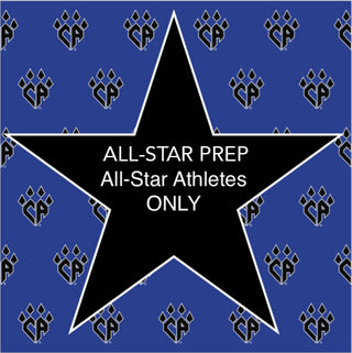 ALL-STAR_large