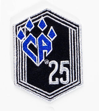 25